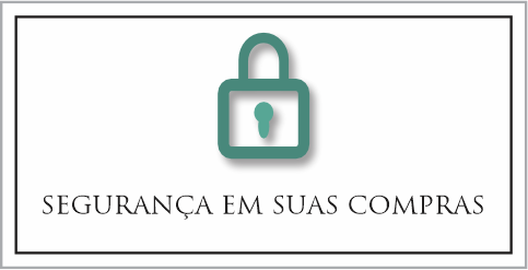 SEGURANÇA